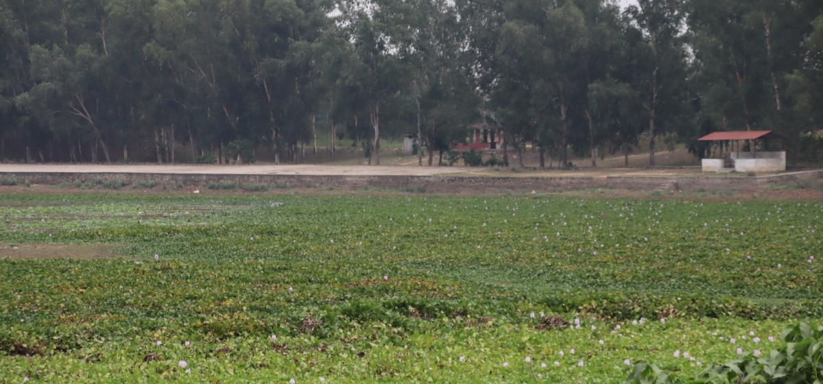banhda tal