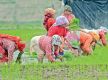 About 59 percent paddy plantation completed so far across Nepal