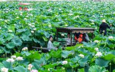 Heatwaves during summer vacation boost cooling economy across China