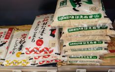 日媒：米价上涨，日本流行“无厨房食堂”