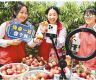 新加坡媒体：中国“新农人”在乡村振兴中学直播