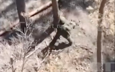 画面曝光！俄士兵徒手抓住乌军无人机并当场拍毁