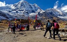 Annapurna region sees record tourist influx driven by SAARC visitors