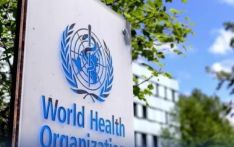 美国拒绝接受《世界卫生组织大流行协定》