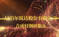 尼泊尔锐达股份有限公司——合成轻钢树脂瓦