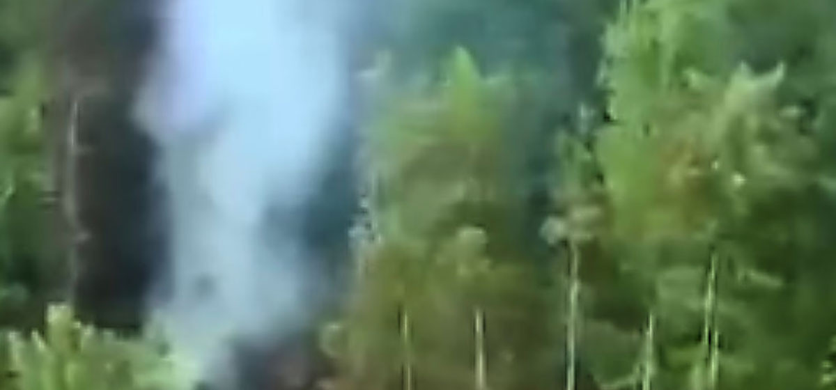 russian airliness