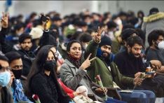 美政策收紧，印度海外人才会回流吗？