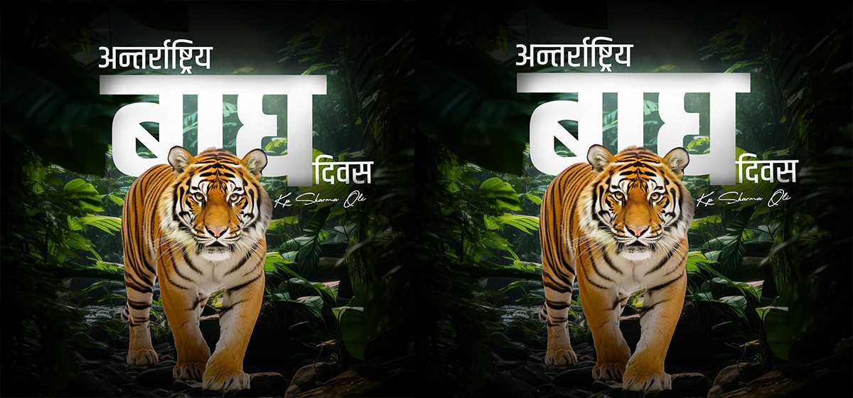 badgh diwas