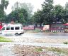 Rain brings joy to drought-hit Madhes farmers