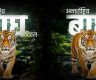 बाघ दिवसको शुभकामना: प्रधानमन्त्री ओली