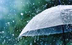 Up to 129 mm of rain in Jhapa in 24 hours