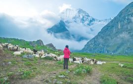 Everest fees rise, but Nepal’s ‘hidden peaks’ are now free