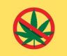 个别旅荷中国公民购买吸食“大麻蛋糕”“迷幻蘑菇”等软性毒品，我使馆提醒