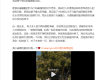 37岁林书豪宣布退役，结束15年职业生涯：实现了疯狂梦想，是时候和篮球说再见