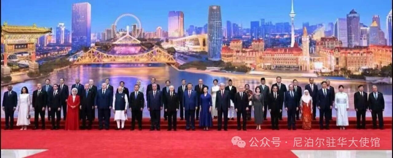 oli china x7