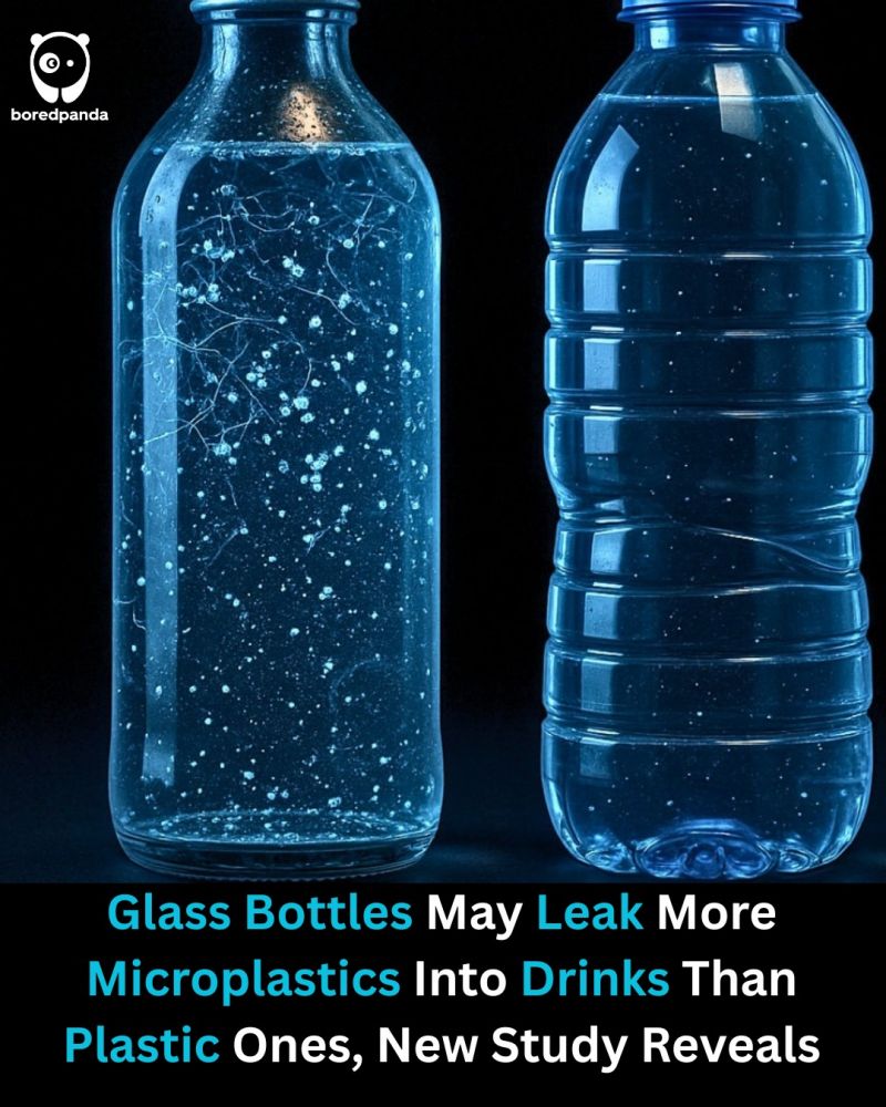 micro plastic