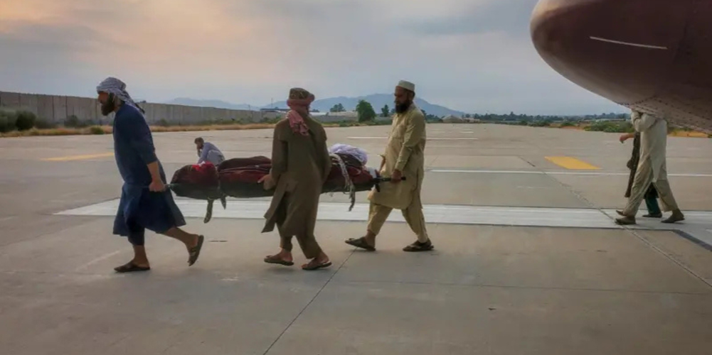 h-sj-2-0192025092652-1000x0