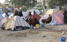 阿富汗东北部地震已致超600人死亡