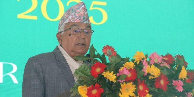 नेपाल कला तथा संस्कृति महोत्सव काठमाडौंमा सुरु