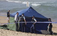 悉尼海滩发生鲨鱼袭人事件 一冲浪者丧命