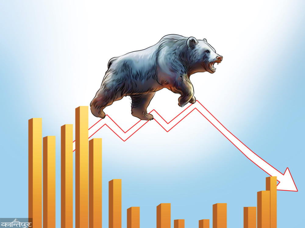 bear-downnepse-0312025022913-1000x0