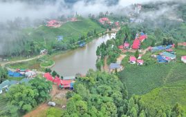 Tourists start returning to Kanyam and Antu