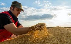 降关税稳定货币,大订单带来外汇,阿根廷农民为“零税出口”叫好