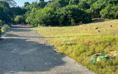 高雄凌晨命案！一对父女倒卧偏僻空地车内均有刀伤，1人死亡、1人生命垂危