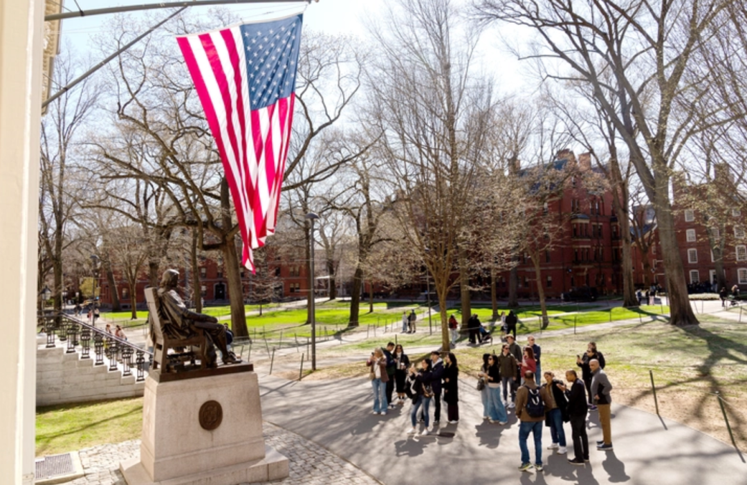 6F372DFB139913B4C4151CDF47558E5CA2B5C074_size1409_w1080_h701