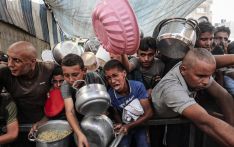 近东救济工程处：约50万人被困在加沙城不足8平方公里区域内