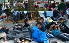 美媒：一顶帐篷对加沙难民也是奢侈品