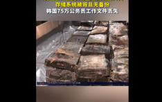 存储系统被毁且无备份 韩国75万公务员工作文件丢失