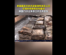 存储系统被毁且无备份 韩国75万公务员工作文件丢失