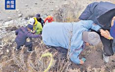 青海通报：祁连山冷龙岭被困徒步者搜救结束 251人被转移