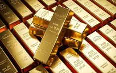 金价，再创新高！还会继续涨？国际金价涨疯了！
