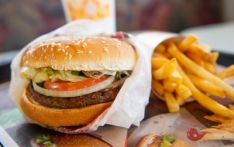 欧洲议会投票禁止素食用肉名，投票结果在多国引争议