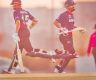 Nepal beat Japan by five wickets to top group