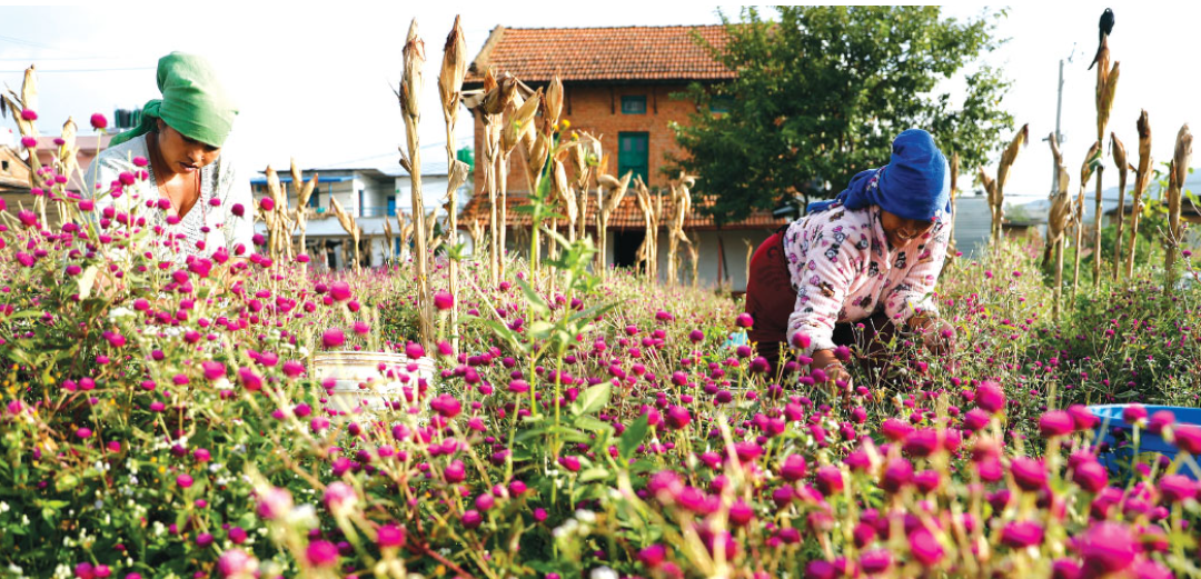 Weixin Image_20251016195520