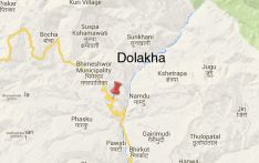 दोलखामा भालुको आक्रमणबाट एक जनाको मृत्यु