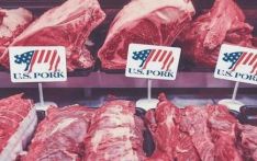 进口阿根廷牛肉？美国农民反对