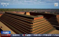 秦始皇陵现高海拔冷杉云杉 秦人为何舍近求远找木材?