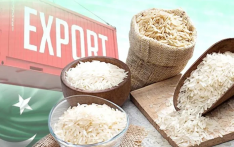 2025年巴基斯坦对华大米出口将激增63%