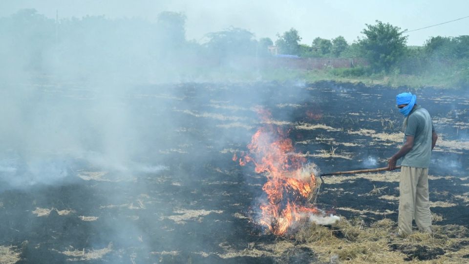 AFP__20250916__74NP3TJ__v1__MidRes__IndiaAgriculturePollution-7lopwday2j1otxez65msuibz3p5wswhs5j9hz9g6xj4