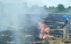 秸秆焚烧：南亚农民的速效方案，却让健康付出沉重代价