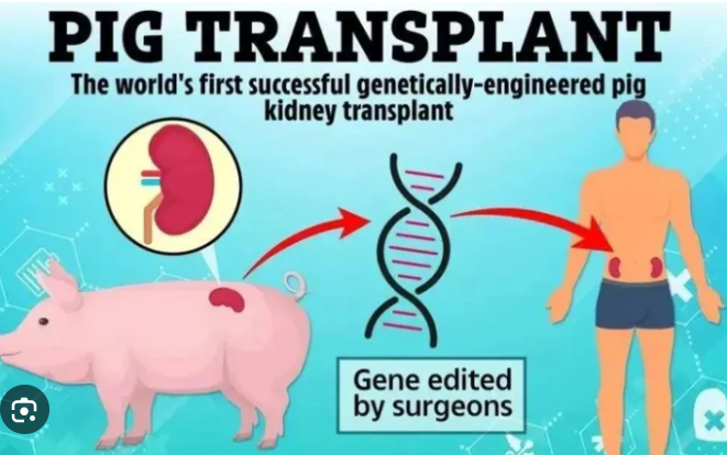 Weixin Image_20251028211931