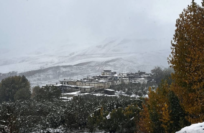 Weixin Image_20251029214853