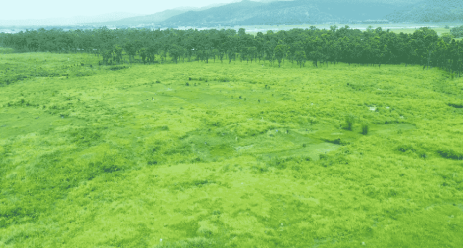 Weixin Image_20251031022607