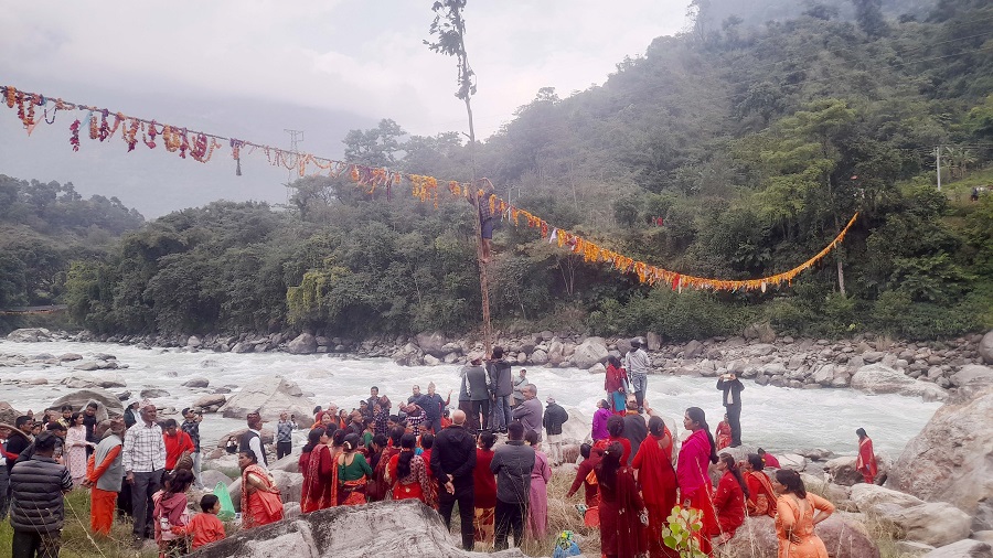 yekadashi-fulko-dori-tardai