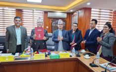 उच्च प्राथमिकतामा नीतिगत सुधार