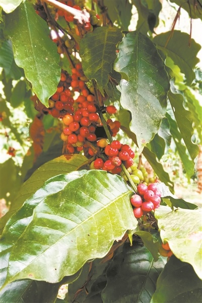 fd15c31d2762c7fe6d9033da5698b44fu5